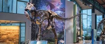 Dino Hunt at Witte Museum