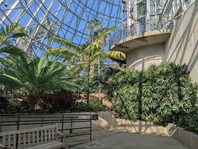 San Antonio Botanical Garden