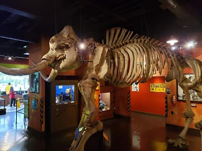 Ripley's Believe It or Not!